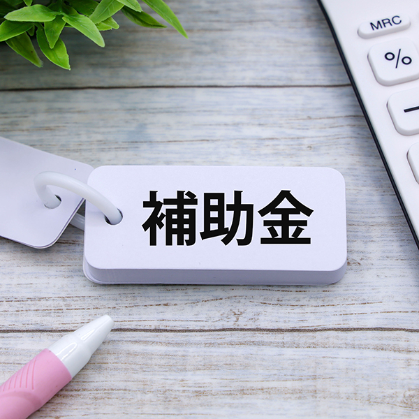 補助金制度